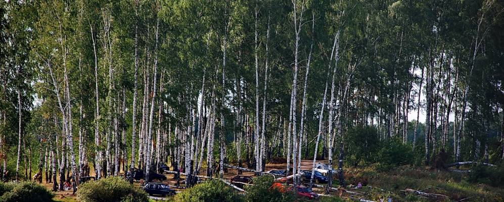 Фотография Микшино