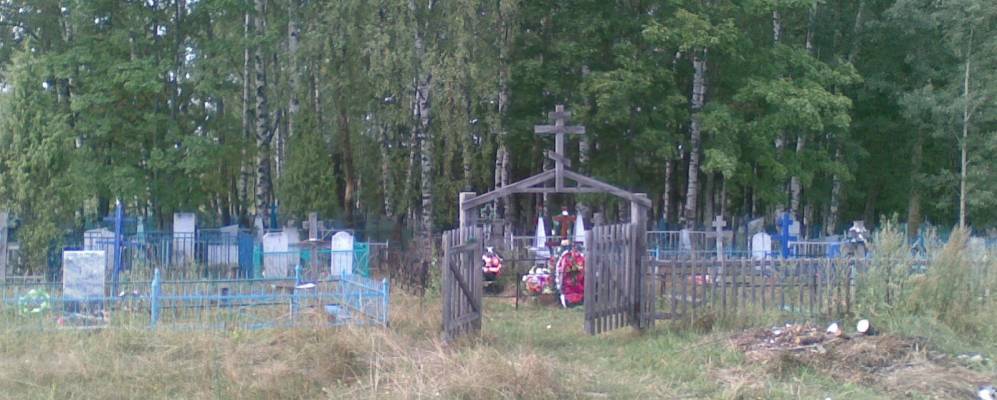 Фотография Овсянки