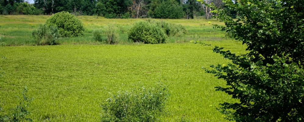 
            Фотография Ильиной Горы