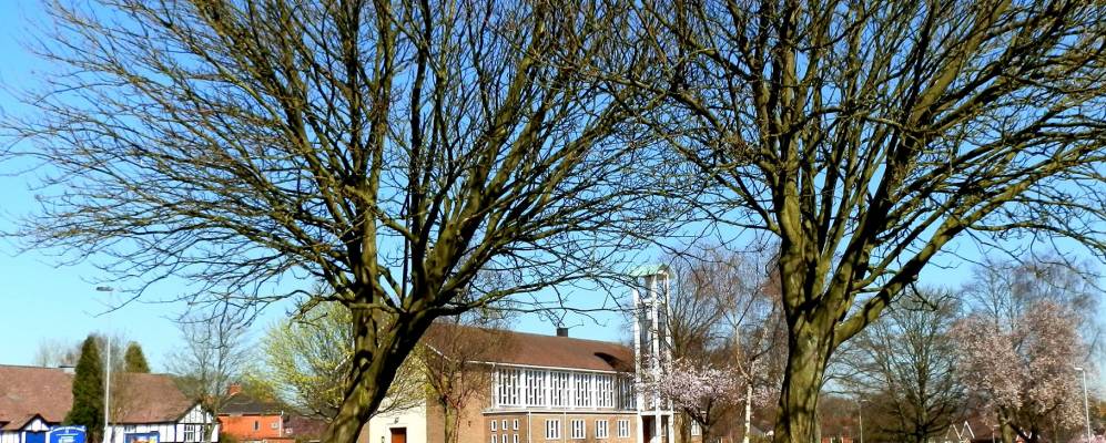 
            Фотография Ньюкасл андер Лайма