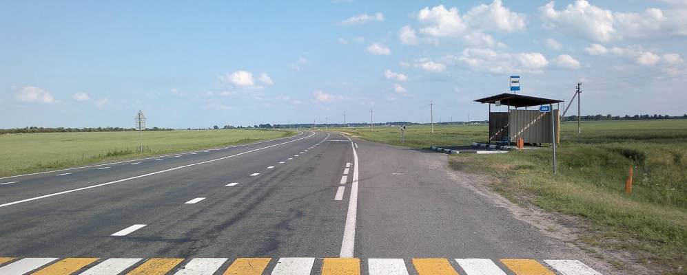 
            Фотография Поросли