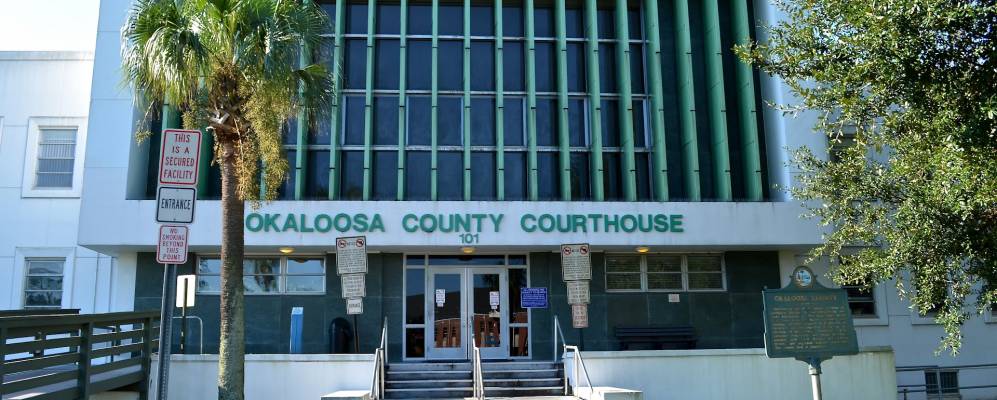 
            Фотография Крествива