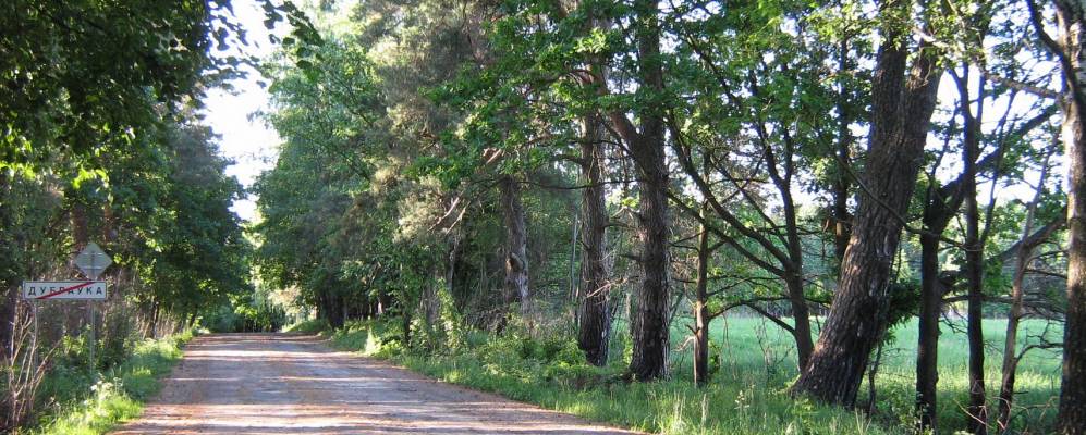 Фотография Малюшино