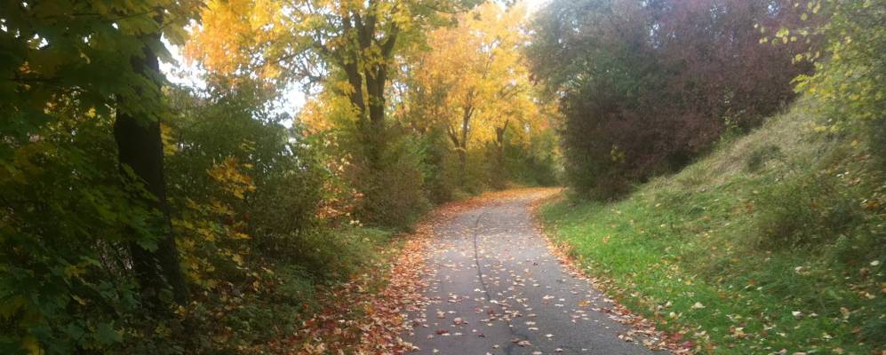 
            Фотография Лонзее