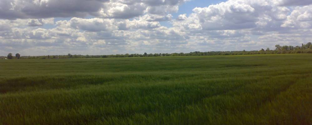 
            Фотография Маковки