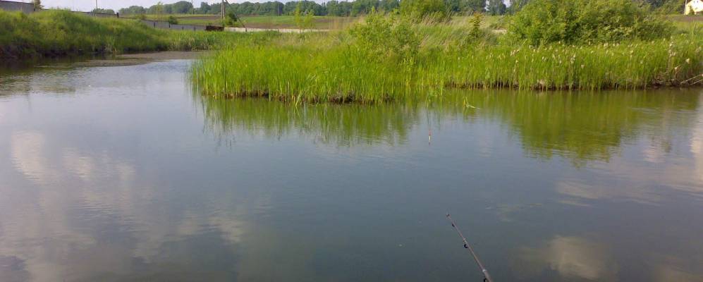 
            Фотография Мервичей