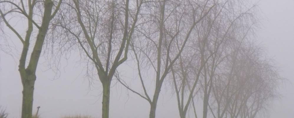 
            Фотография Авен-лез-Обера