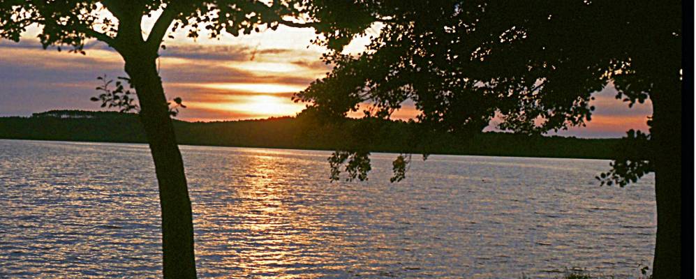 
            Фотография Орейана