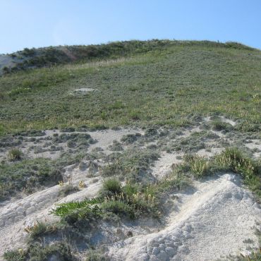 Куликовы Липяги