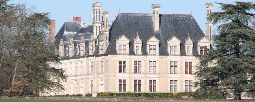 
            Фотография Селлета