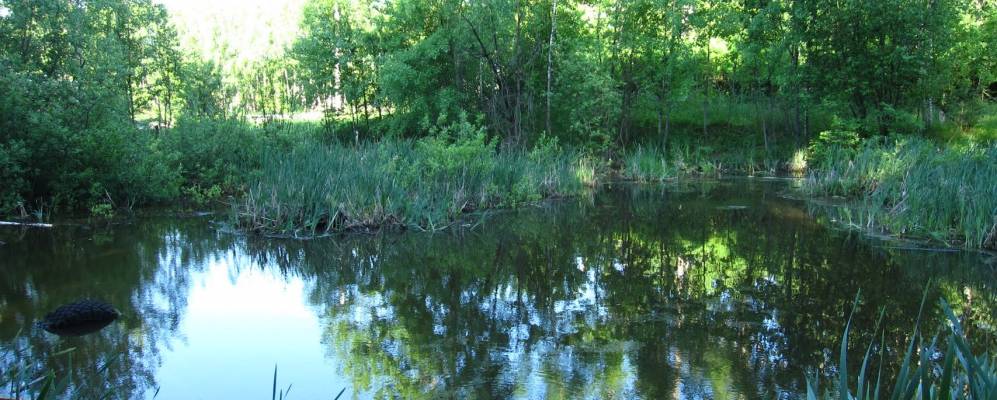 Фотография Старокурово