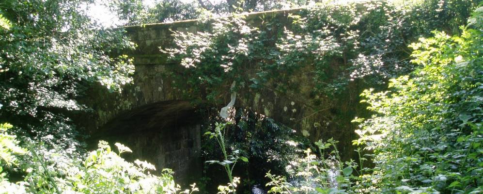 
            Фотография Форкарея