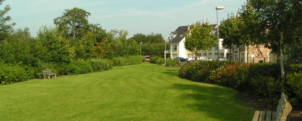 
            Фотография Эглайнтона