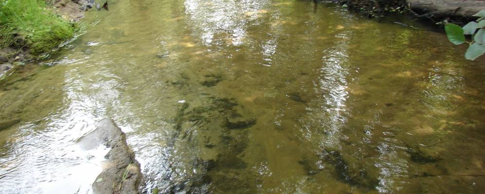 
            Фотография Ретины