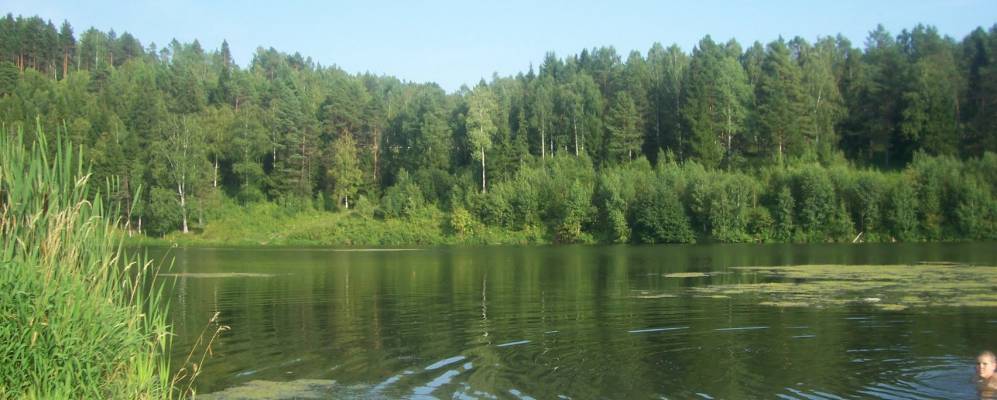 
            Фотография Сорокино