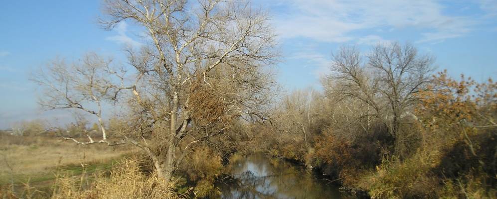 
            Фотография Лесопитомника