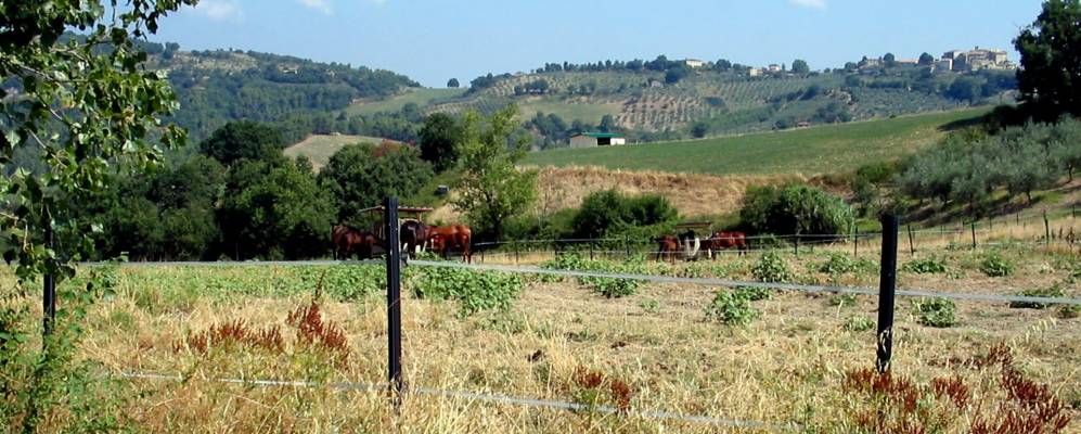 Фотография Сараганьо