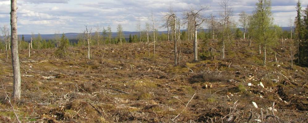 
            Фотография Анетьярви