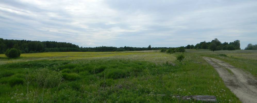 
            Фотография Леонково