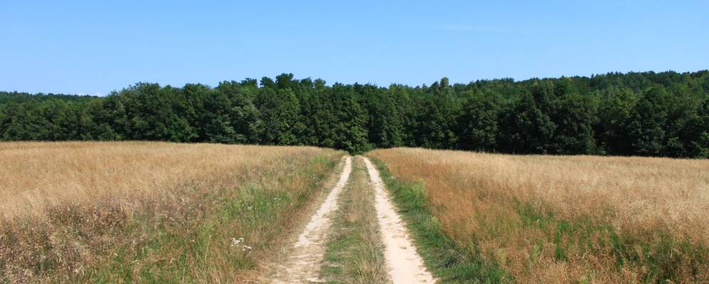 
            Фотография Ильимки