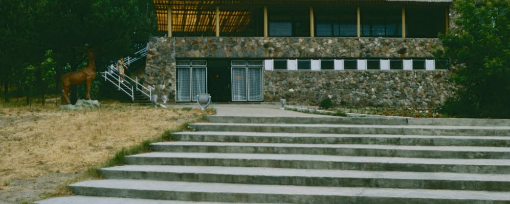 Фотография Дорожного