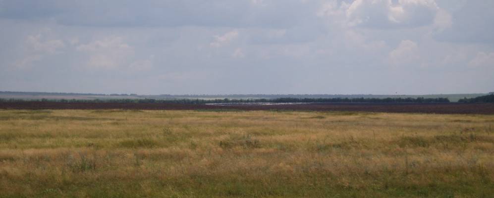 
            Фотография Нестеровского