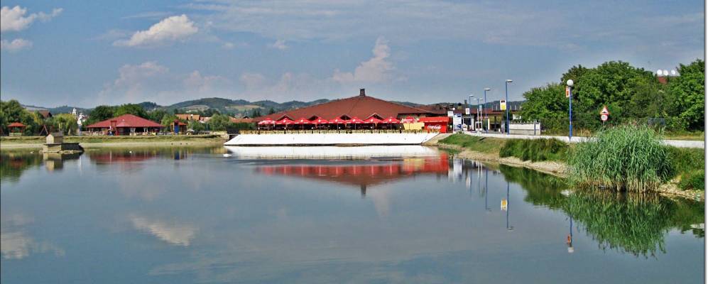 
            Фотография Трна