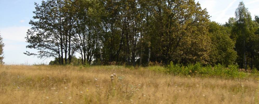 
            Фотография Чемодурово