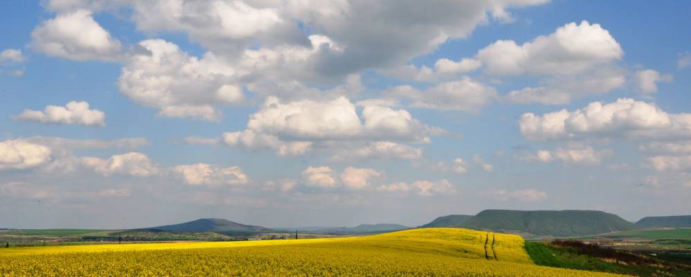 
            Фотография Каспичан