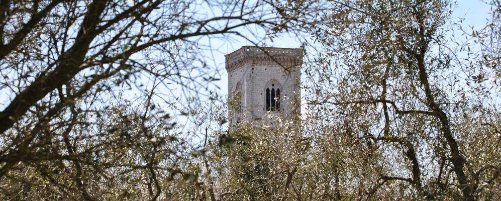 
            Фотография Орентано