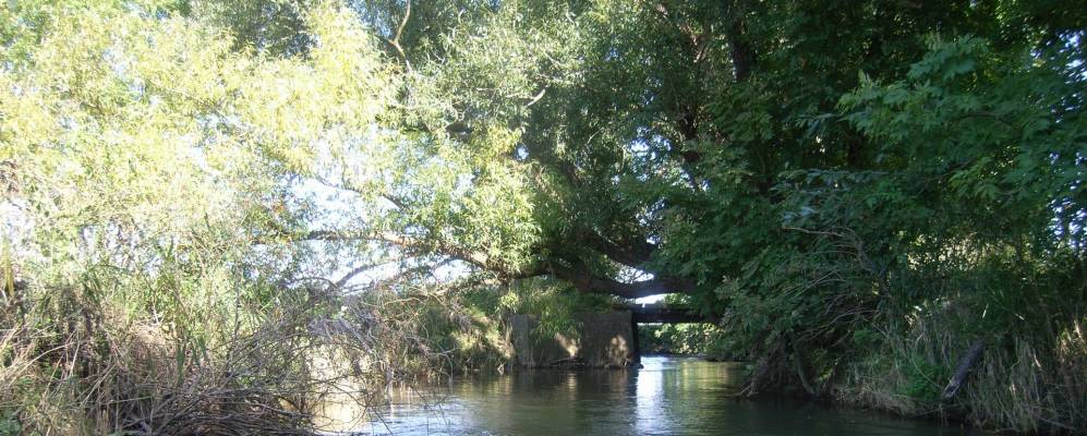 
            Фотография Холле