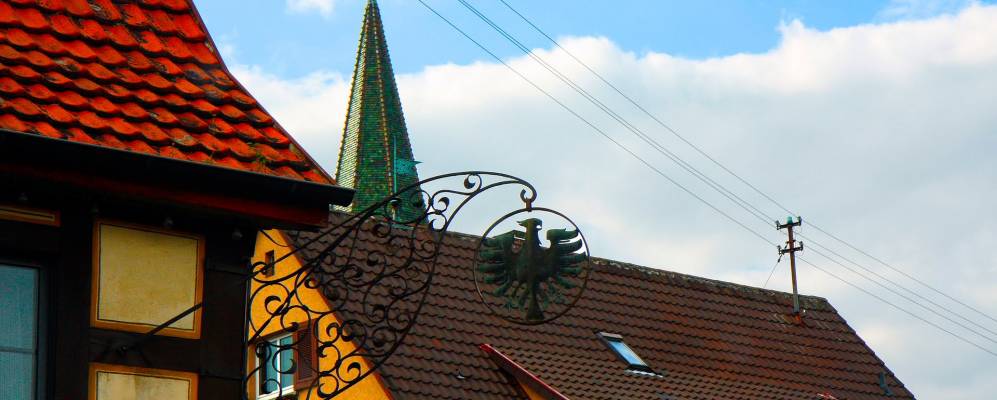 
            Фотография Овена