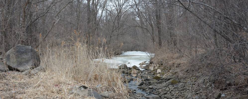 
            Фотография Партизана