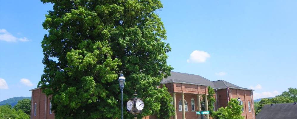 
            Фотография Пикевилла