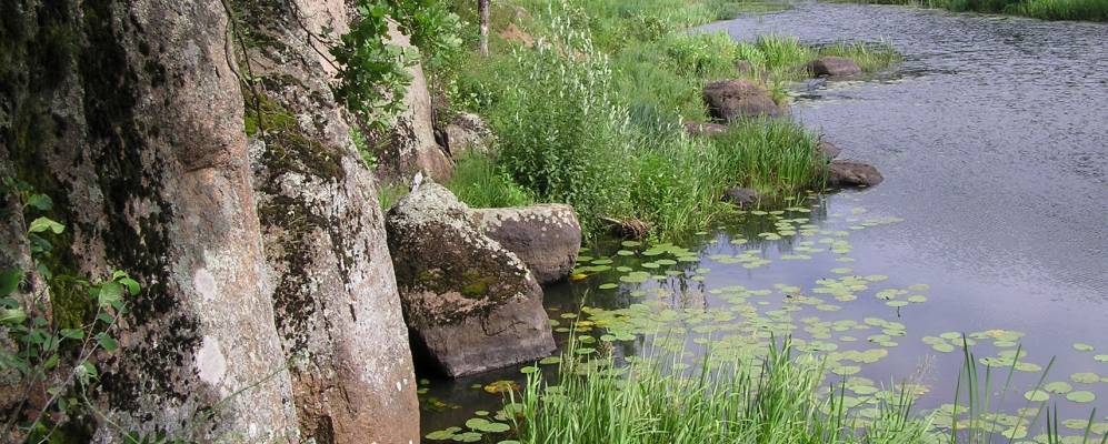 
            Фотография Садыбного