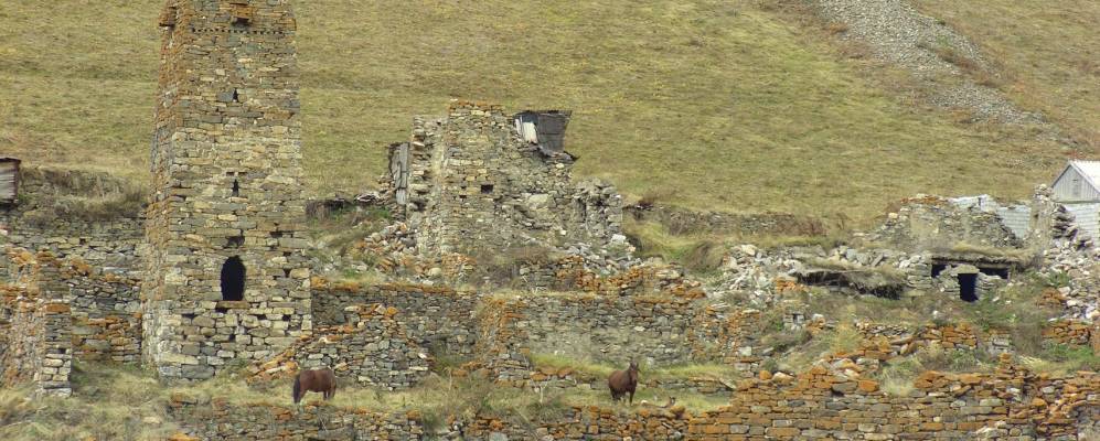 
            Фотография Калака