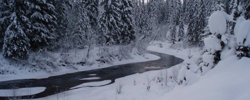 
            Фотография Мудьюги