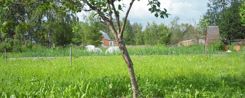 
            Фотография Старого Семенково