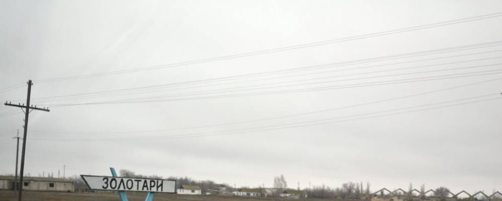 
            Фотография Золотарей