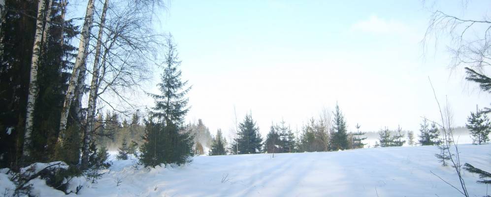 Фотография Большой Пижанки