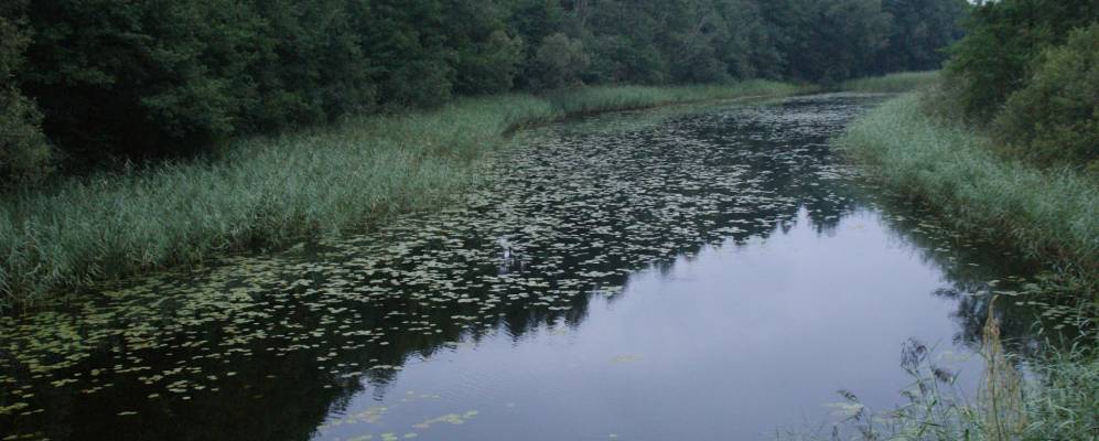 Фотография Зашевенья