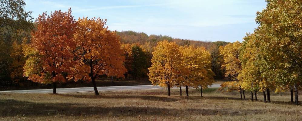 
            Фотография Сосновки