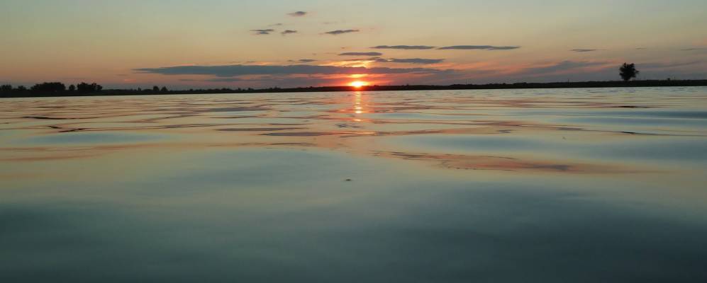 
            Фотография Мурата