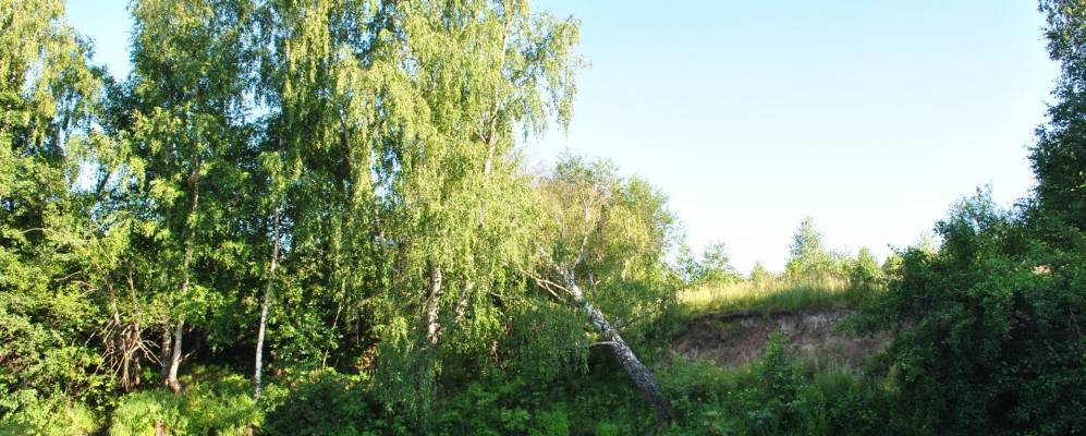 
            Фотография Шаньково