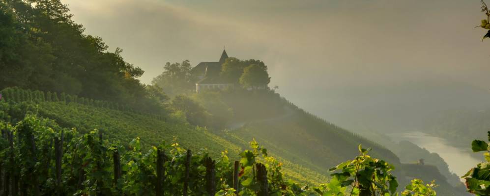 
            Фотография Пюндериха