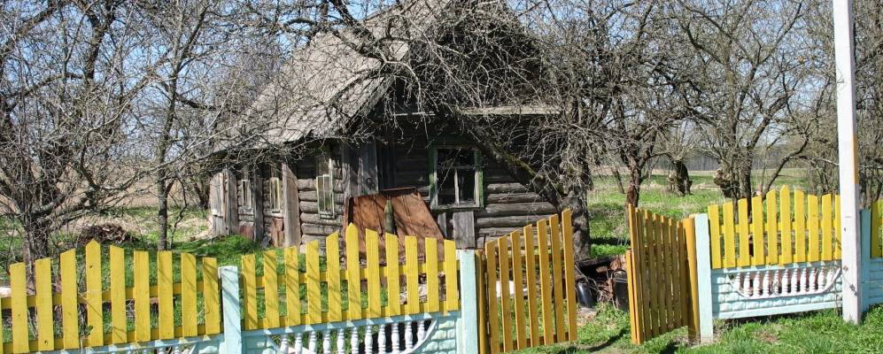 
            Фотография Дубровки