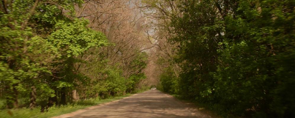 
            Фотография Золотого Колоса