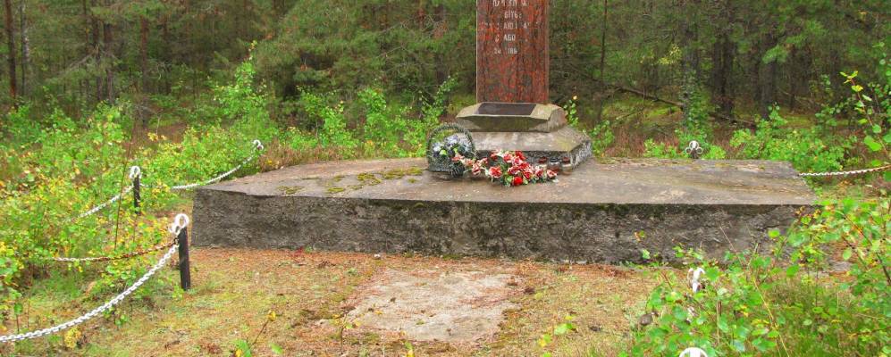 Фотография Щитно