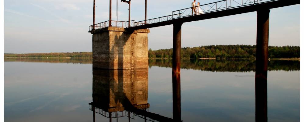 Фотография Осели