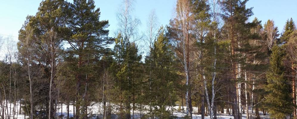 
            Фотография Усть-Сепыча